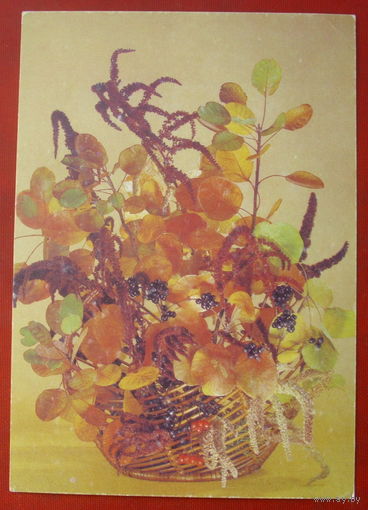 Цветы. Чистая. 1990 года. Шварц. *226.