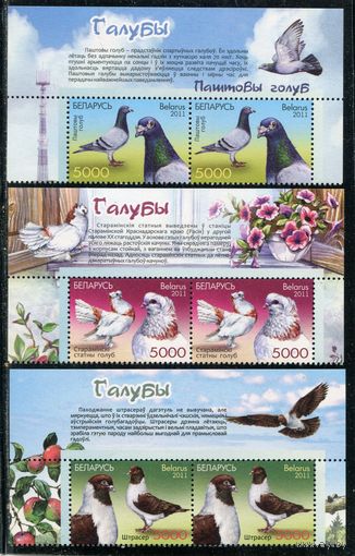 Беларусь 2011. Фауна. Голуби. Верхняя сцепка листа