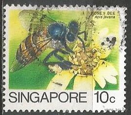 Сингапур. Медоносная пчела. 1985г. Mi#484.