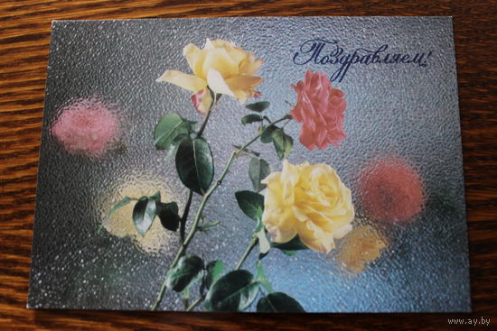 Поздравляем! Фото Л. Киндровой. Подписана. 1987 г.