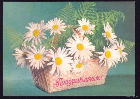 ДМПК СССР 1978 Поздравляем ромашки лукошко