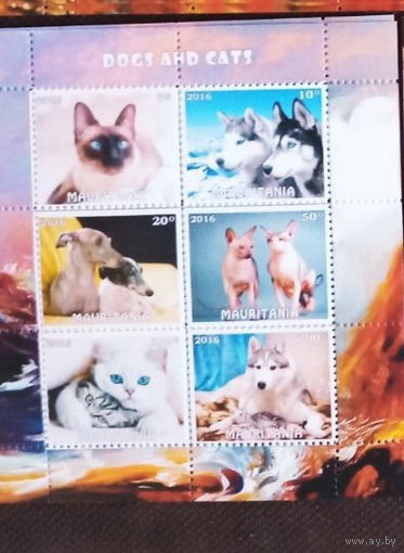 СЕРИЯ БЛОКОВ  СОБАКИ КОШКИ  фауна   MNH