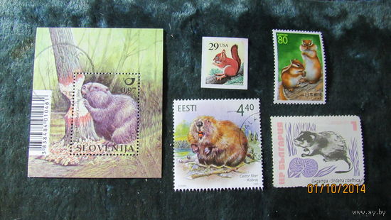 Марки грызуны