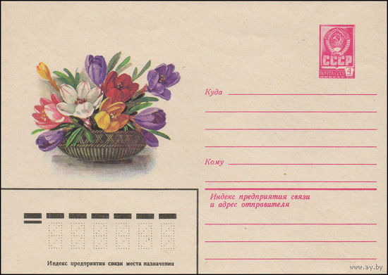 Художественный маркированный конверт СССР N 13484 (03.05.1979) Крокусы