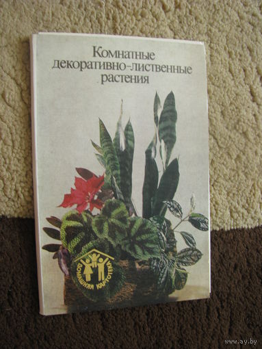 Комнатные декоративно-лиственные растения