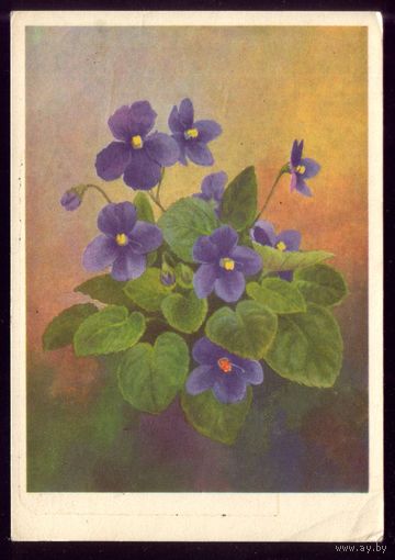 1976 год Ю.Ряховский Таллинн