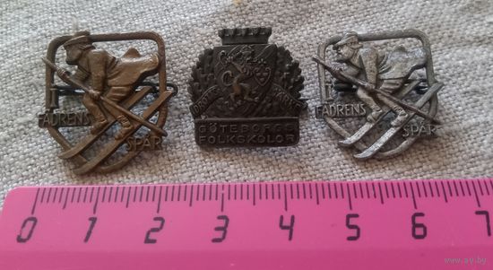 Коллекция красивых значков. Горные егеря. Швеция.