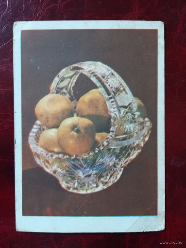 Мандриины худ. Бушнина 1959 год
