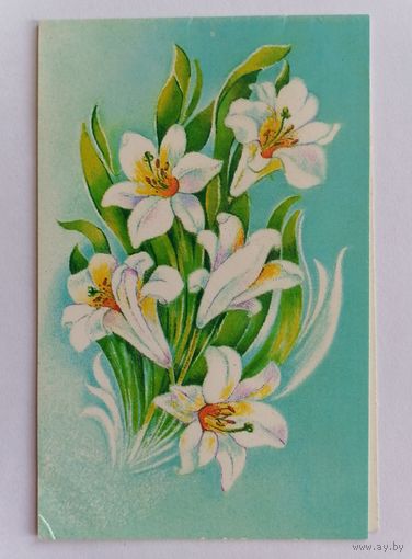 Открытка из СССР, 1991г, подписанная.