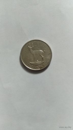 Монета ОАЭ