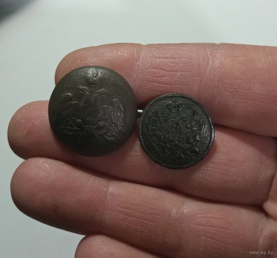 Пуговицы 2шт.