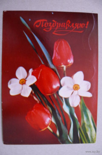 Столяров Б., Поздравляю! 1977, подписана.