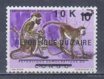 [2326] Заир 1977. Фауна.Обезьяны. НАДПЕЧАТКА. Гашеная марка.