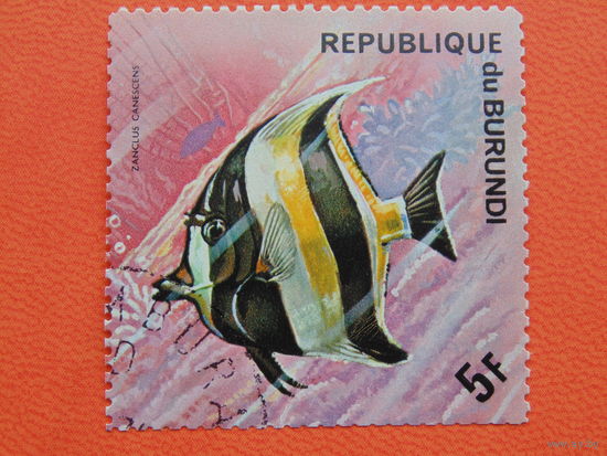 Бурунди 1974г. Морская фауна.