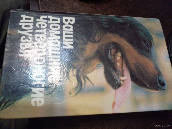 ВАШИ ДОМАШНИЕ ЧЕТВЕРОНОГИЕ ДРУЗЬЯ