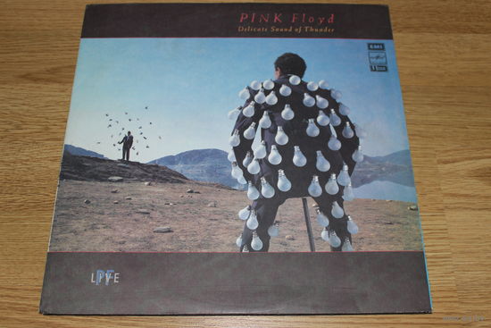 Pink Floyd - Delicate Sound Of Thunder -2LP