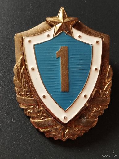 Знак. Солдатская классность 1 ВС РБ . Ранний. Булавка.