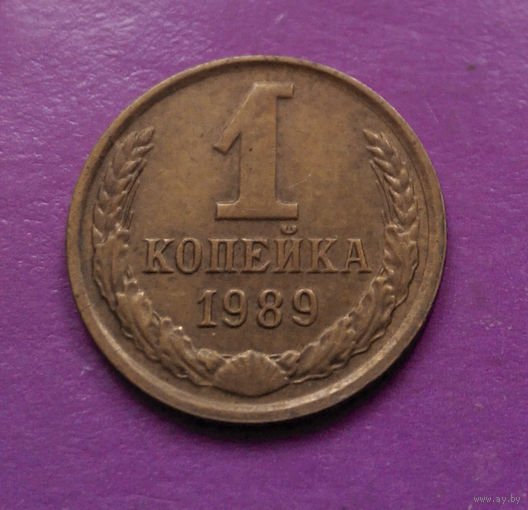 1 копейка 1989 года СССР #09