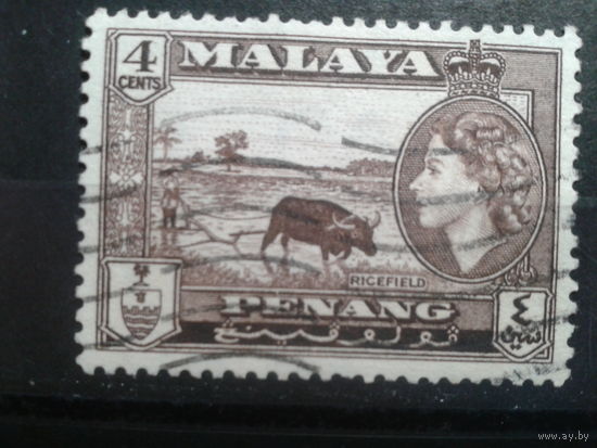 Пененг, колония Англии, 1957. Королева Елизавета и рисовое поле