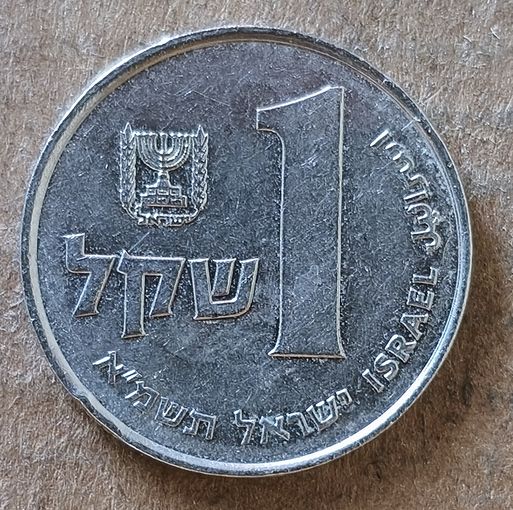 Израиль 1 шекель, (5741) 1981 г., KM# 111