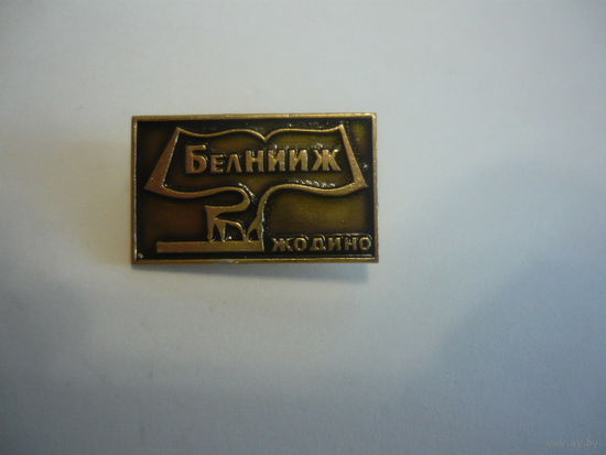 БелНИИЖ. ЖОДИНО