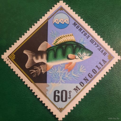 Монголия 1974. Фауна. Рыбы. Окунь. Марка из серии
