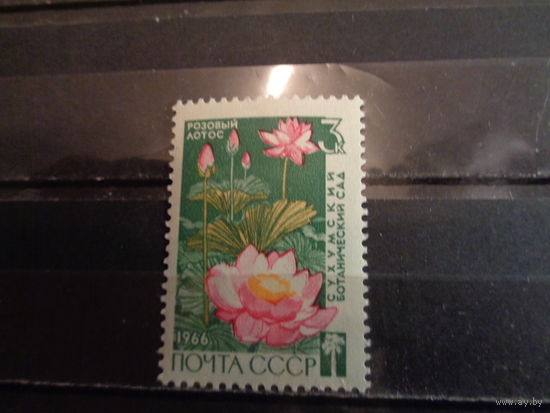 СССР 1966 Сухумский ботанический сад