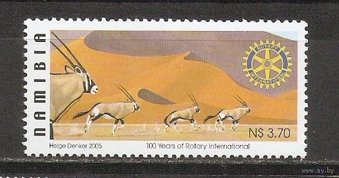 КГ Намибия 2005 Фауна