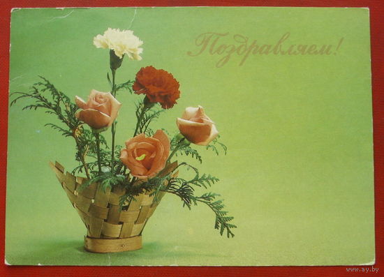 Поздравляем! Чистая. 1983 года. Фото Бабайлова. *24.