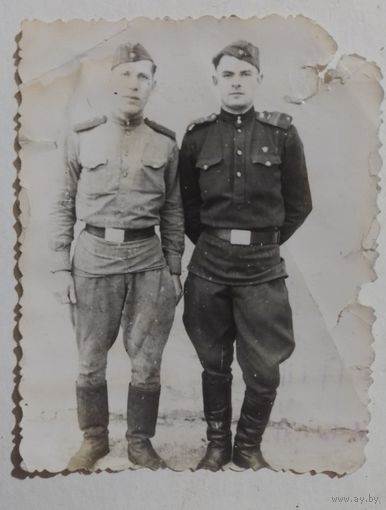 Фото в коллекцию