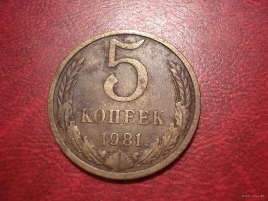 5 копеек 1981 года СССР