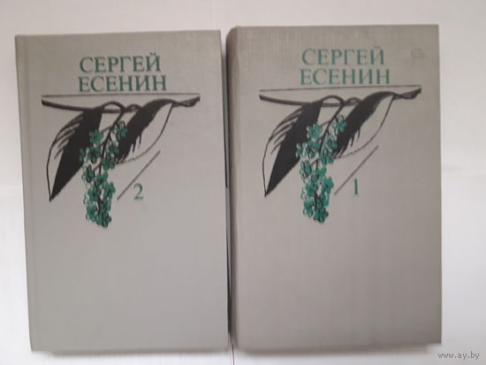 Сергей Есенин - в 2х томах собрание сочинений