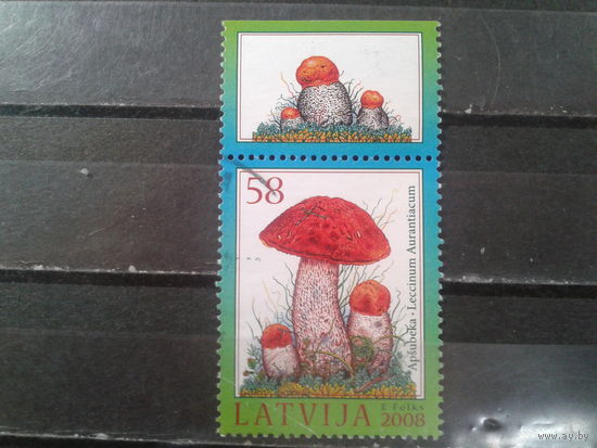 Латвия, 2008. Подосиновик с купоном грибы