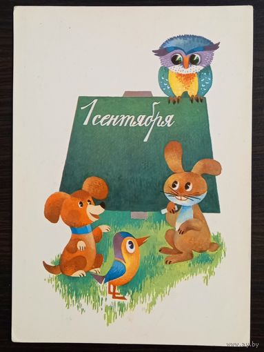 Дергилева 1 сентября 1980 чистая открытка СССР