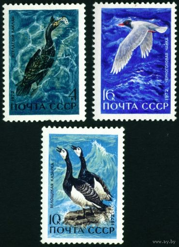 Водоплавающие птицы СССР 1972 год 3 марки