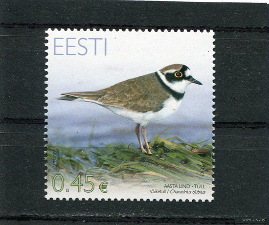 2012. Эстония. 511. Фауна Эстонии. Птица года - Зуйки (род куликов). MNH **