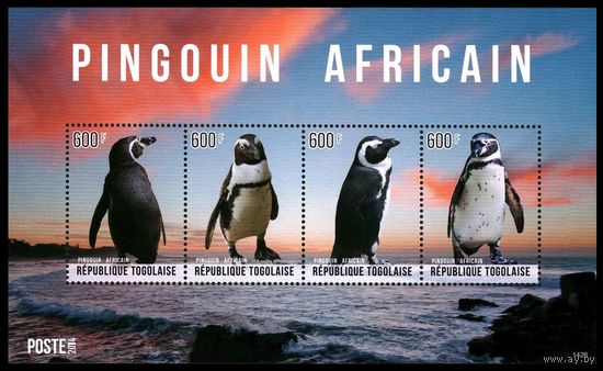 2014 Того 6220-6223KL Птицы - Пингвины 9,60 евро