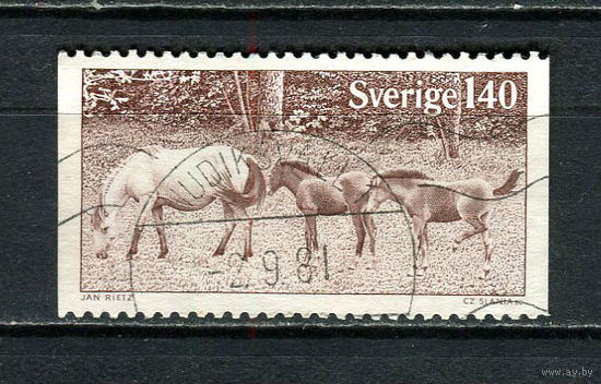 Швеция - 1977 - Готландский пони 1,40Kr - [Mi.993] - 1 марка. Гашеная.  (Лот Gx48)-T3P27