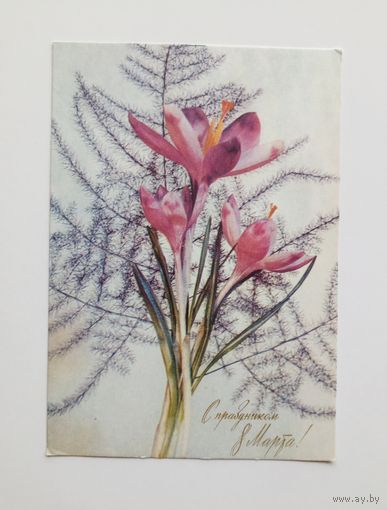 Открытка С праздником 8 Марта. Фото И.Дергилева 1971 г. Чистая