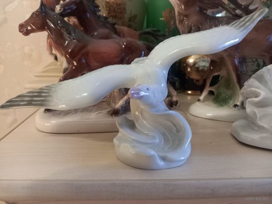 С РУБЛЯ! Альбатрос МФФЗ