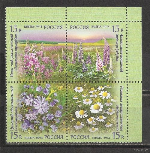 ФФ1 Россия 2014 Цветы