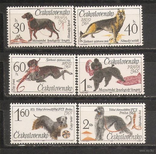 ФФ1 Чехословакия 1965 Собаки