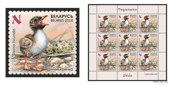 2018 БЕЛАРУСЬ  марка или малый лист  "Речная крачка" MNH