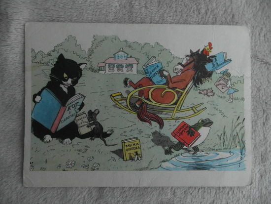 Каневский. Любимые сказки. 1964 г. 10х15 см. Чистая.