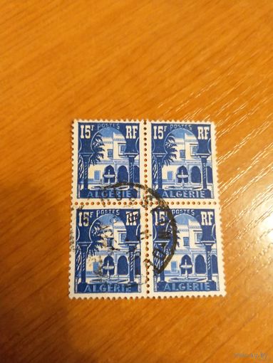 Французская колония Алжир квартблок архитектура флора (1-11)