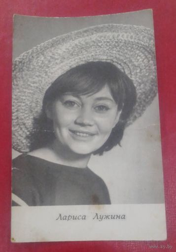 Лариса Лужина