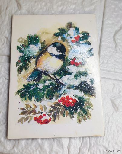 Открытка маленькая . С рубля без МЦ. Все с рубля без МЦ.