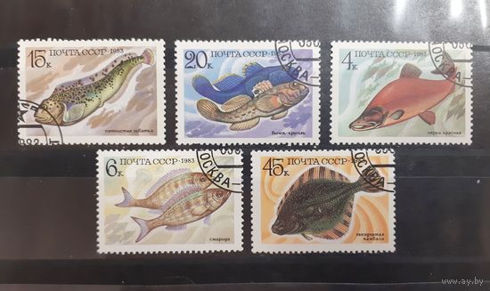 СССР. 1983 год. Фауна. Рыбы (54)