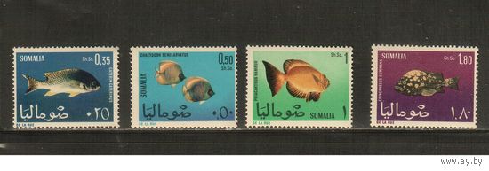 Сомали-1967(Мих.114-117) , **  ,  Морская фауна, Рыбы(полная серия)