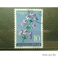 Марки Югославия 1959. Лаванда.
